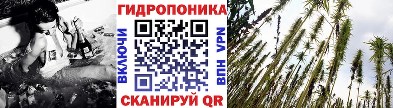 Канабис Amnesia Курильск